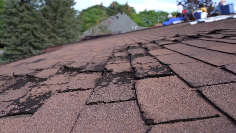Best Roof Coating Services  in Dexter, MI