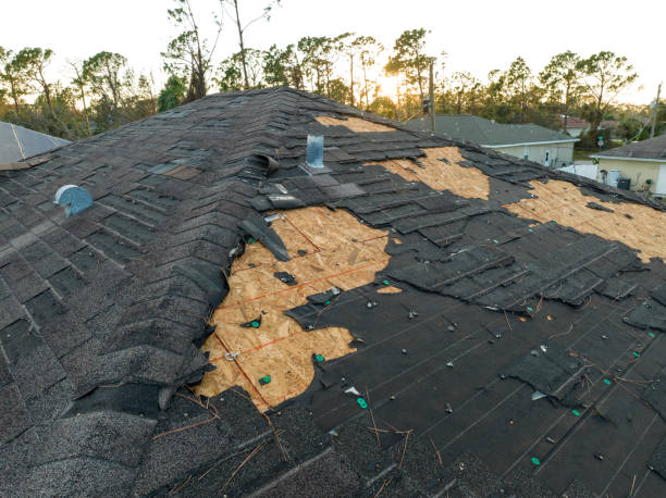 Best Metal Roofing Installation  in Dexter, MI