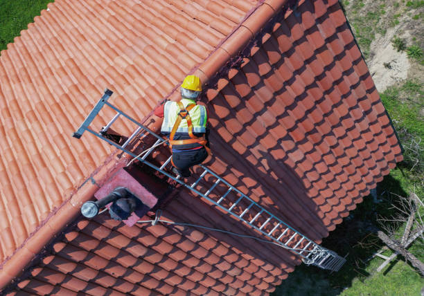 Best Roof Ventilation Installation  in Dexter, MI
