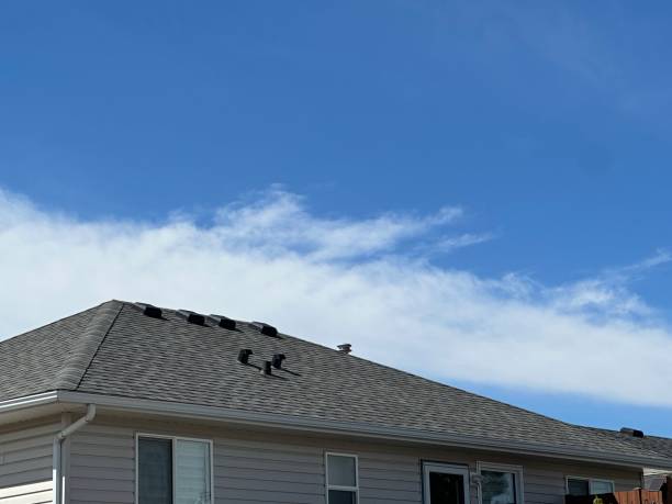 Best Roof Insulation Installation  in Dexter, MI