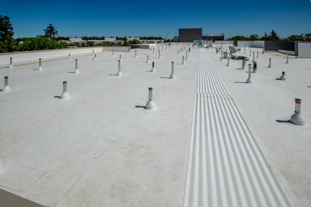 Best Commercial Roofing Services  in Dexter, MI